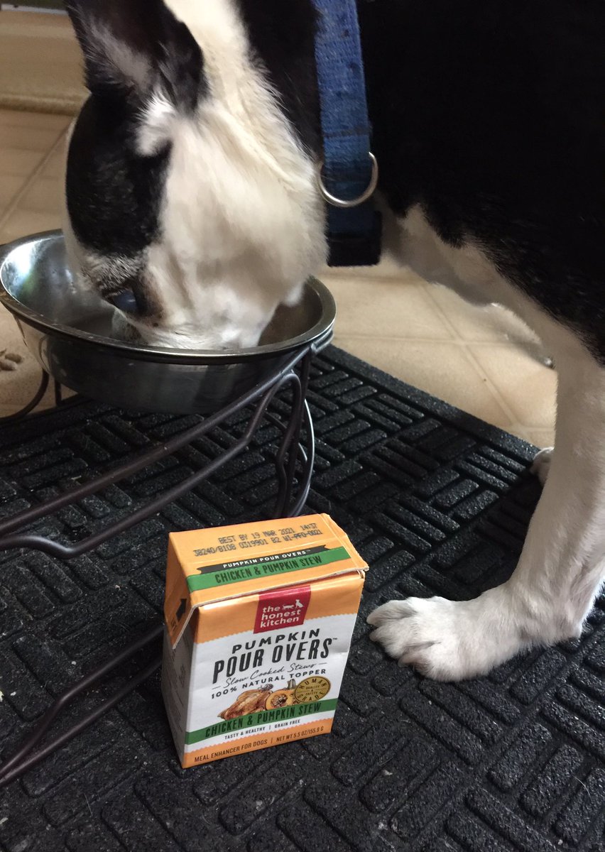 Penny_G12's tweet photo. Gomez loves @honestkitchen Pumpkin Pour Overs. Healthy ingredients and smells like real food. Can’t wait to try the other flavors...Gomez can’t wait either 😋 🐾🐾 #bostonterrier #dogsoftwitter #healthydogfood #thehonestkitchen #madeinsandiego https://t.co/9BeoH9UCBd