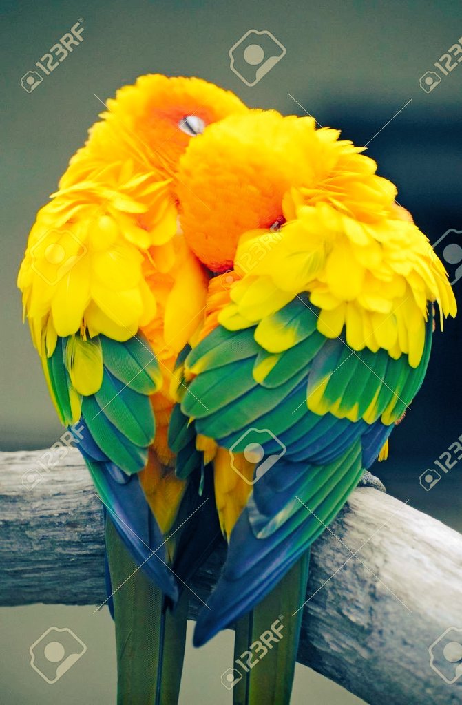 INSTINC26289171's tweet photo. @Jojoba26668703 @CarmenHoffbauer @StudartCarolina @lob_lily @imranali1323 @civi_mam @may_stamper @khanhakim_k @Alexa17101614 @RosaTrunk @pilot_svb @heroldbarton @mr_khaleeque @Ginacer1M @YYYUUUOOOS @marycastro54 @IsmailShihan @x2w4m6r8 @MalikaAkram14 @PatGrant7777 @marceluna2020 @nabilhasan48 @Soledad30777243 @sharifyounis2 @nancy_dills @JehanZeb0899 @GreteLykke @Am14533419 @marinavibu609g @Unique46777111 @EdithLpezF1 @abdollah1215 @Prime758523541 @vv55cc @Felic0508 @KhaliqueeM @lanatteaali @angsala67 @BabyGo2014 @HumbleIndian @Gnanase34995362 @DanielP2400 @zahrazainab2 @e720d85e9def4de @drjawwad1 @LHng25775402 @zerok_z @Liaisti_1 @Josefer38693523 @RajkumarSivaka5 LIFE IN FRONT OF YOU IS FAR IMPORTANT THAN THE LIFE BEHIND YOU
#photography #naturaleza #Artistic #Divine #Distinct #Art #Smart #Sleek #Sweet #Smile #Love #Exceptional #Mesmerizing #Expression #Imagination #Approach #Exquisite #Eloquence #Nature👀#EyeNature
#LifeLessons #Mindset https://t.co/7IecumiRW0