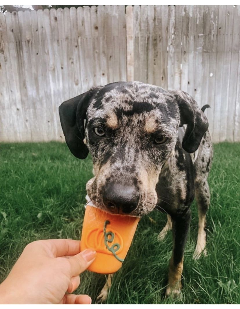 We hope everyone had a fun and safe Halloween! 🎃Some houses were even handing out dog-safe snacks while I trick-o-treated with my hooman! 🥜🍪
#dogspot #dogsofdogspot