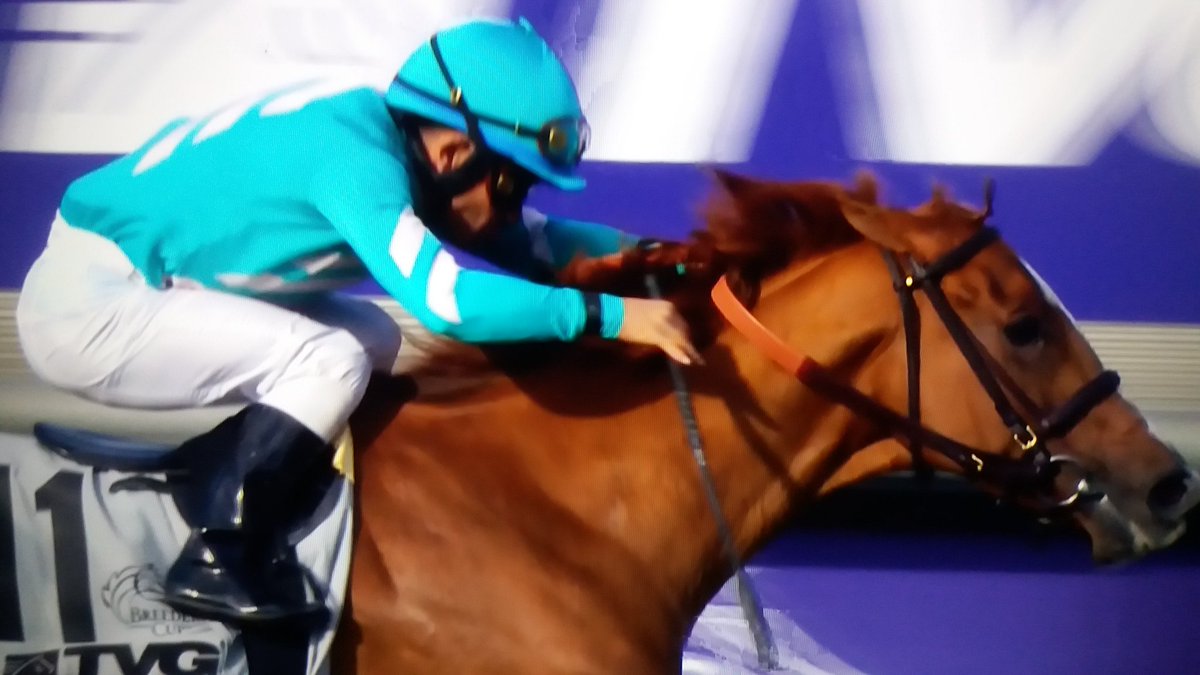 The Irish Field tweet media