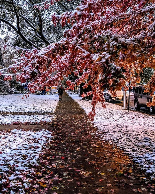 sbcthemuse's tweet photo. Halloween in Chicago 🍁❄️🎃
.
#chicago #igerschicago #RogersPark #FallSnow #chigrammers #MyChicagoPix #lifeofchicago #artofchi #chicity_shots #chicagoshots #chicagoeveryday #flippinchi #yourchicago #chi_shooters #insta_chicago #CityLabOnTheGround #city… https://t.co/aIjmivNAnz https://t.co/GLRjKq0OVJ