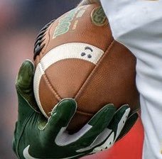 Bison Fanatics tweet media