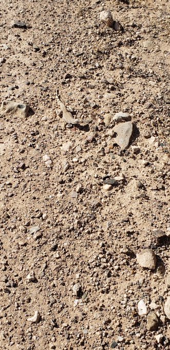 Decided to spend this beautiful #saturday out in the #desert to go shooting and took a few pics but one<a href="/tag/saturday"class="tags">#saturday</a><a href="/tag/desert"class="tags"><span>#desert</span></a>