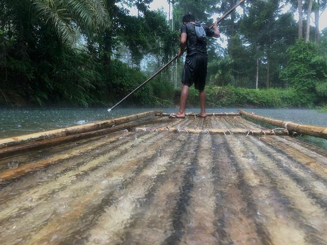 fogpuddle's tweet photo. Took this bamboo raft downriver in the pouring rain today.  What an exhilarating experience!  Loved it! https://t.co/XyPwtuumvF https://t.co/GKNENBQtpN