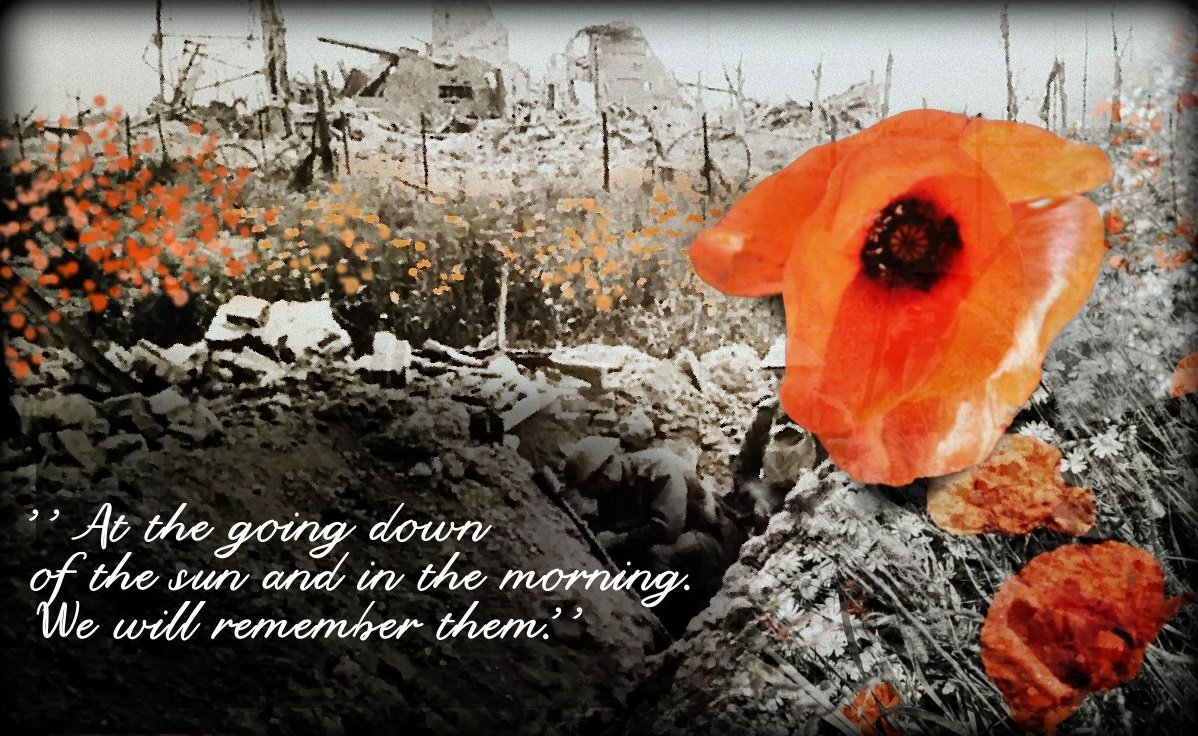We will remember them!

#RoyalBritishLegion #poppies #remembrance #WeWillRememberThem  #soldiers #veterans #sacrifice