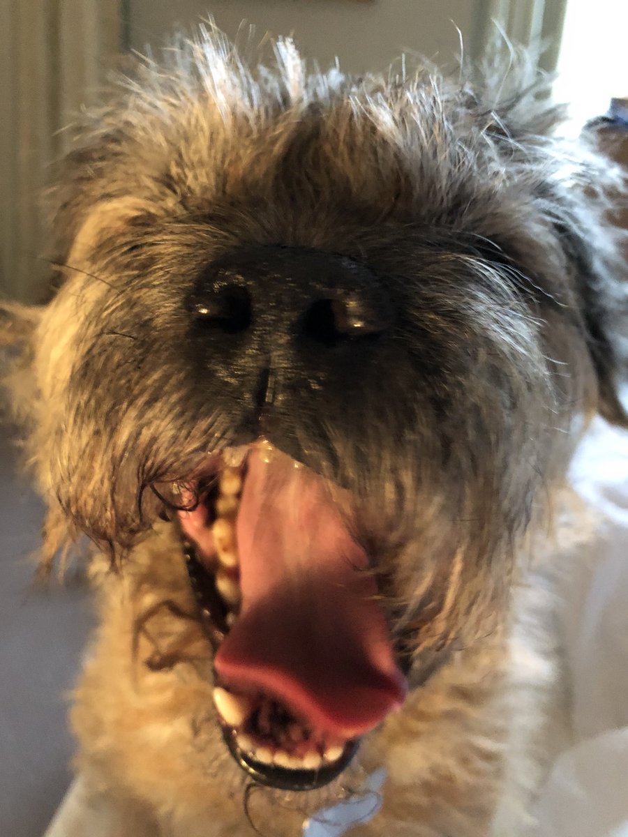 Happy Sunday pals 😍😍