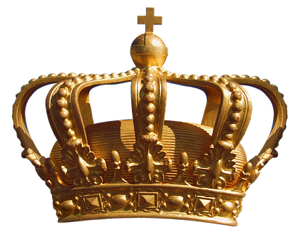 wildsharkseo's tweet photo. #Content is King.  The right content brings you the right leads  #wildsharkseo https://t.co/hTwP4c1IgB