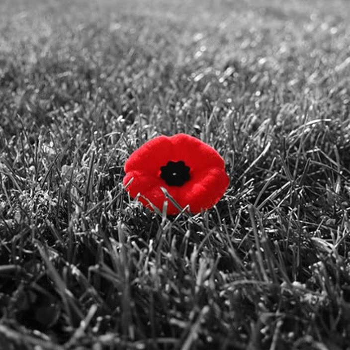 #rememberenceday #rememberencesunday #lestweforget #poppy