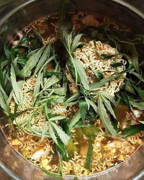 Msolutionnet's tweet image. 