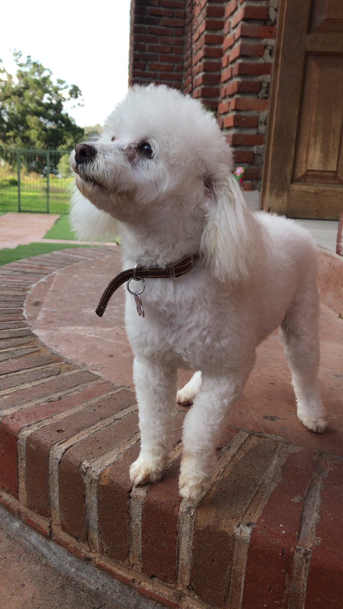 Se me reinicia la vida cuando la vuelvo a ver ♥️