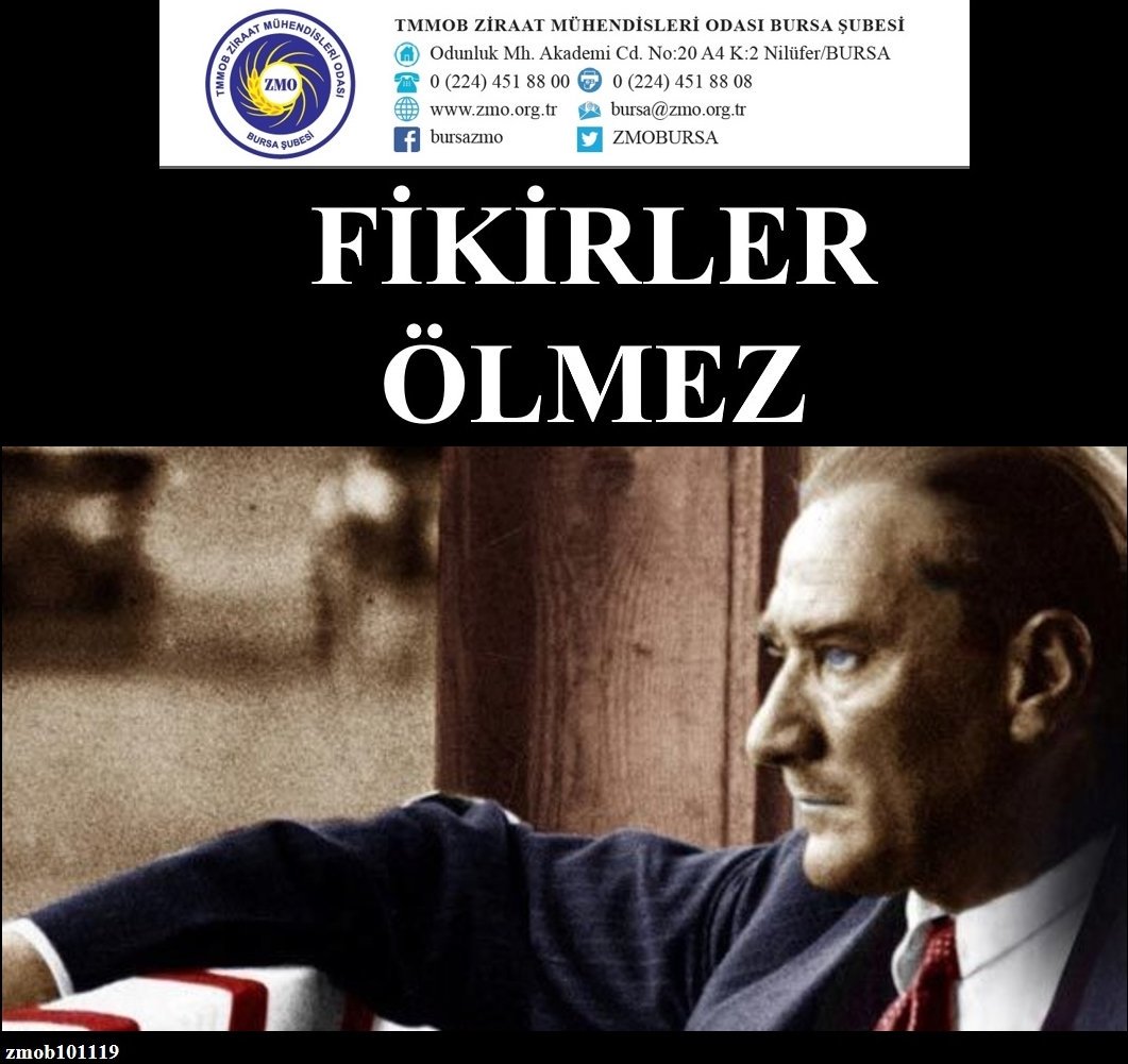 ZMOBURSA's tweet photo. https://t.co/PBdG5dC9UW