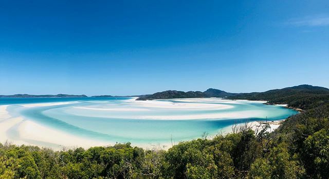 entdeckediewelt's tweet photo. Das ist irgendwie nur zu glauben, wenn man es mit eigenen Augen sieht!! Die Whitsunday Inseln am #greatbarrier #greatbarrierrief 🇦🇺🚀🇦🇺🚀 azurblaues Wasser durchzogen von Sandbänken.. woow 😍🔥 #whiteheaven #beach #white #blue
.
.
#liveauthentic #travel … https://t.co/wDKaVettMm https://t.co/x63rL71AZj