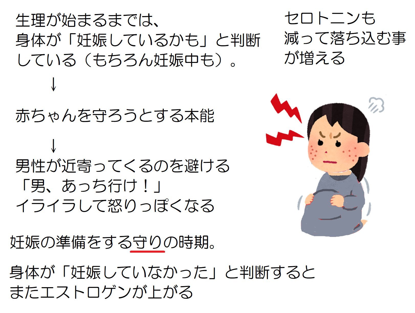 Blue 生理が終わったとき エストロゲンが増える 受容的になる理由 妊娠の準備をする 男性を迎え入れる 生理が始まるまで 妊娠中 プロゲステロンが増える に イライラする理由 妊娠の維持をする 守る 男性を排斥する Blue 生理が終わったとき エストロゲンが増える 受容的になる理由 妊娠の準備をする 男性を迎え入れる 生理が始まるまで 妊娠中 プロゲステロンが増える に イライラする理由 妊娠の維持をする 守る 男性を排斥する