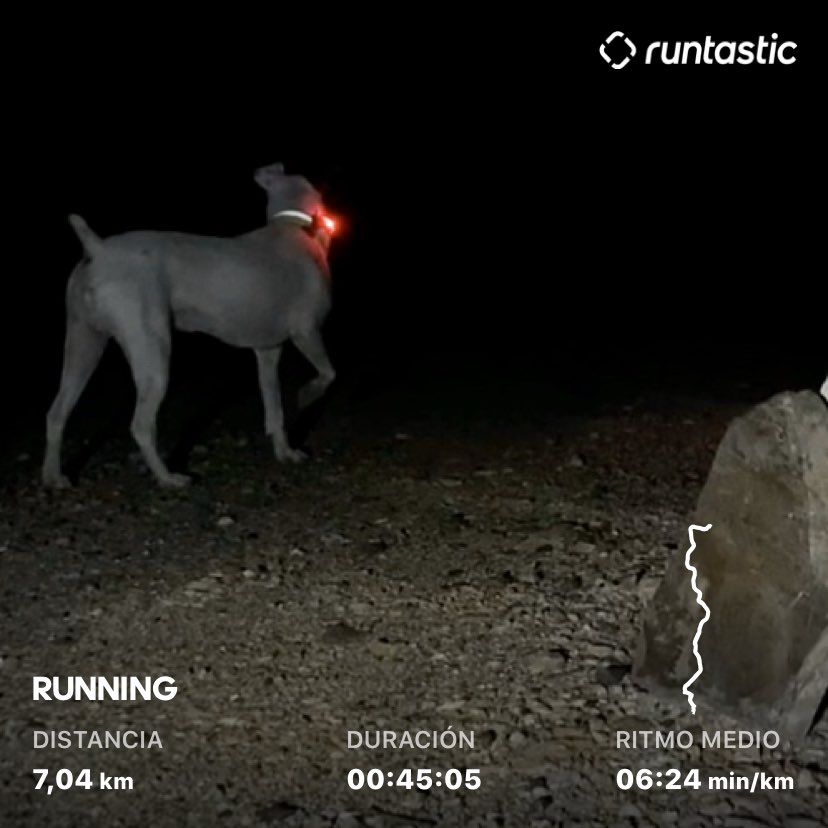 RT x.com/EVOSportsweara… RT x.com/EVOSportsweara… RT x.com/pedrodominguez… You are worth more than they can think and what they can tell you #YOLO #Runtastic #adidas #sportswear #Sa…