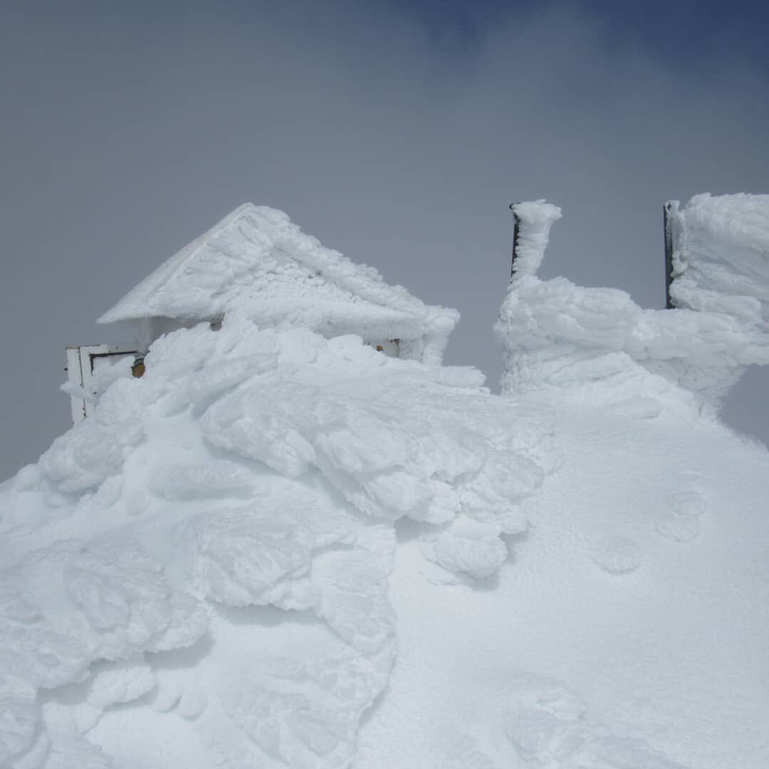 mikeinuganda's tweet photo. Great photo courtesy of Rwenzori Trekking Services ... this weeks snowfall on Margherita Peak.... how crazy is #uganda and it’s off the scale biodiversity #traveluganda #visituganda #amazingplaces https://t.co/XyAOBKrDL6