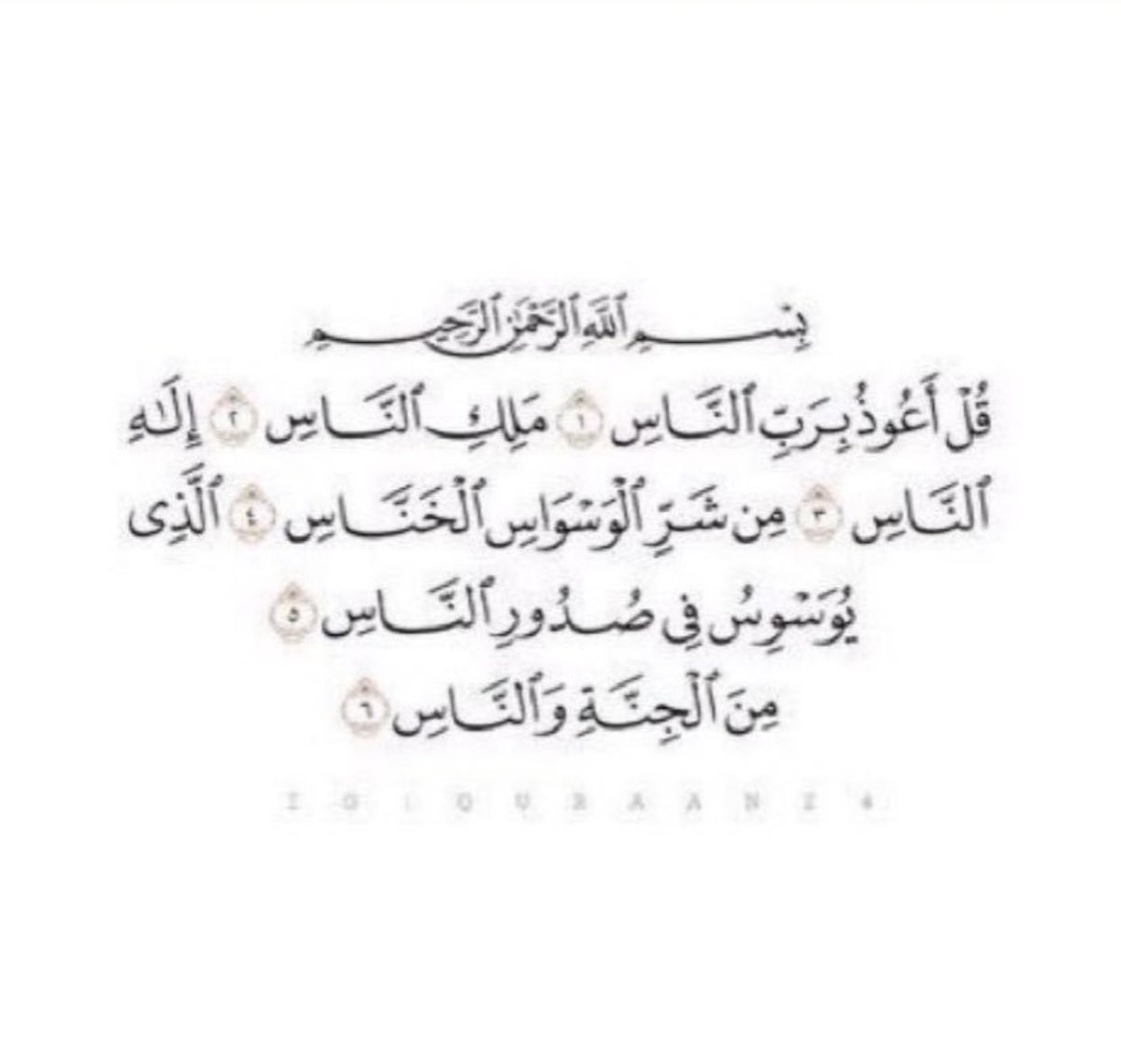 لعله يشفع لي بعد مماتي 🕊🕊