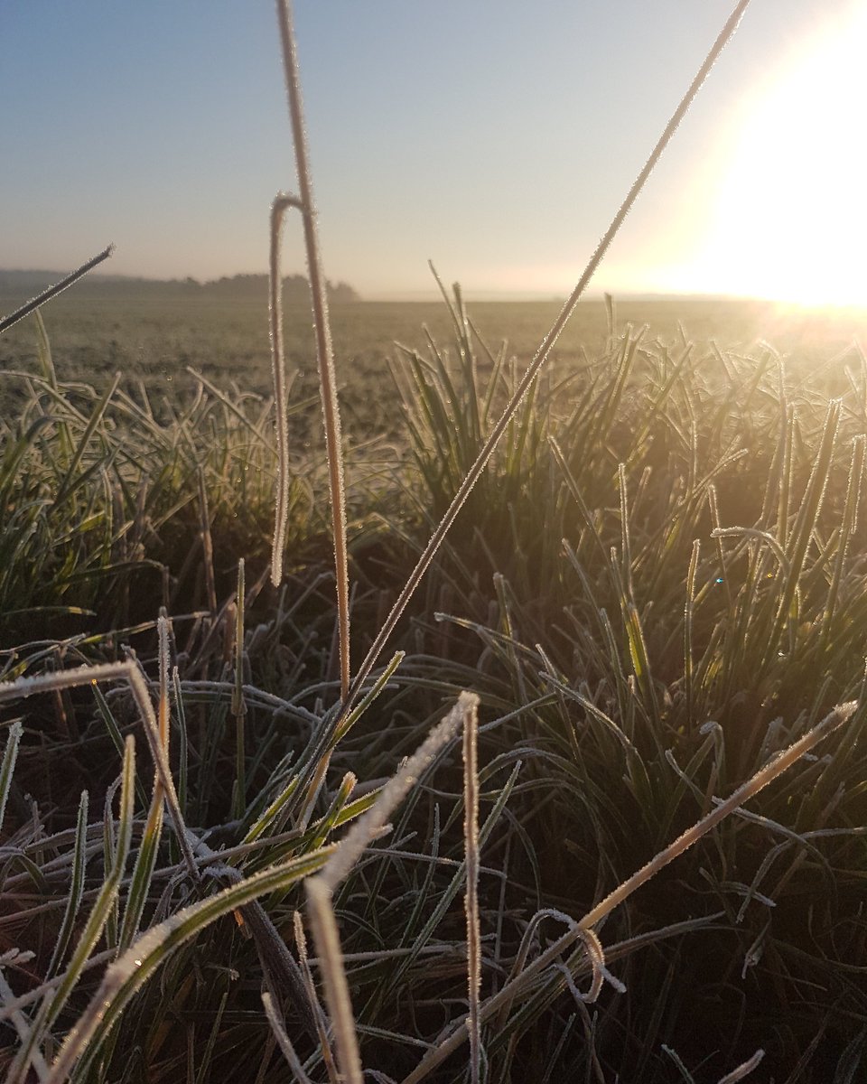 PerformanceVF's tweet image. Powerful fall morning. 

#nofilter #winterisaroundthecorner
#beautifulnature #countrylife #ranchlifeisgoodlife