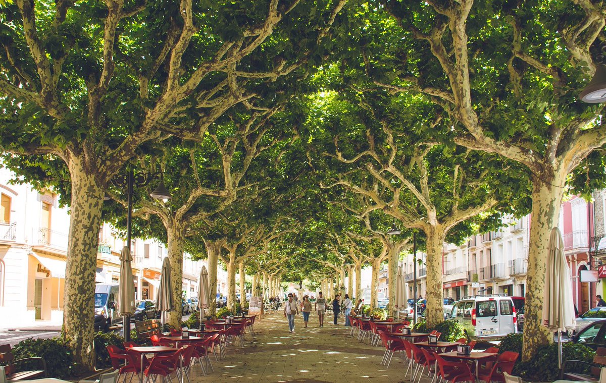 createstreets's tweet photo. Create Streets with trees https://t.co/Rjx5taUPZl