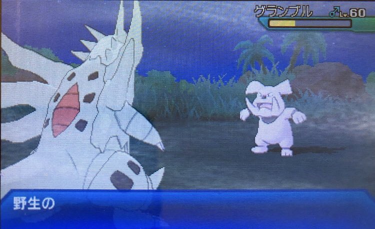 スラヨシ アンテ ポケダン空ネタバレしないでね メガサメハダー 0 15 31 16分 トゲなんてどこに と思ったら出てきたああああああ びっくり T Co Zn3f77kygm Twitter スラヨシ アンテ ポケダン空ネタバレしないでね メガサメハダー 0 15 31 16分 トゲなんてどこに と思ったら出てきたああああああ びっくり T Co Zn3f77kygm Twitter