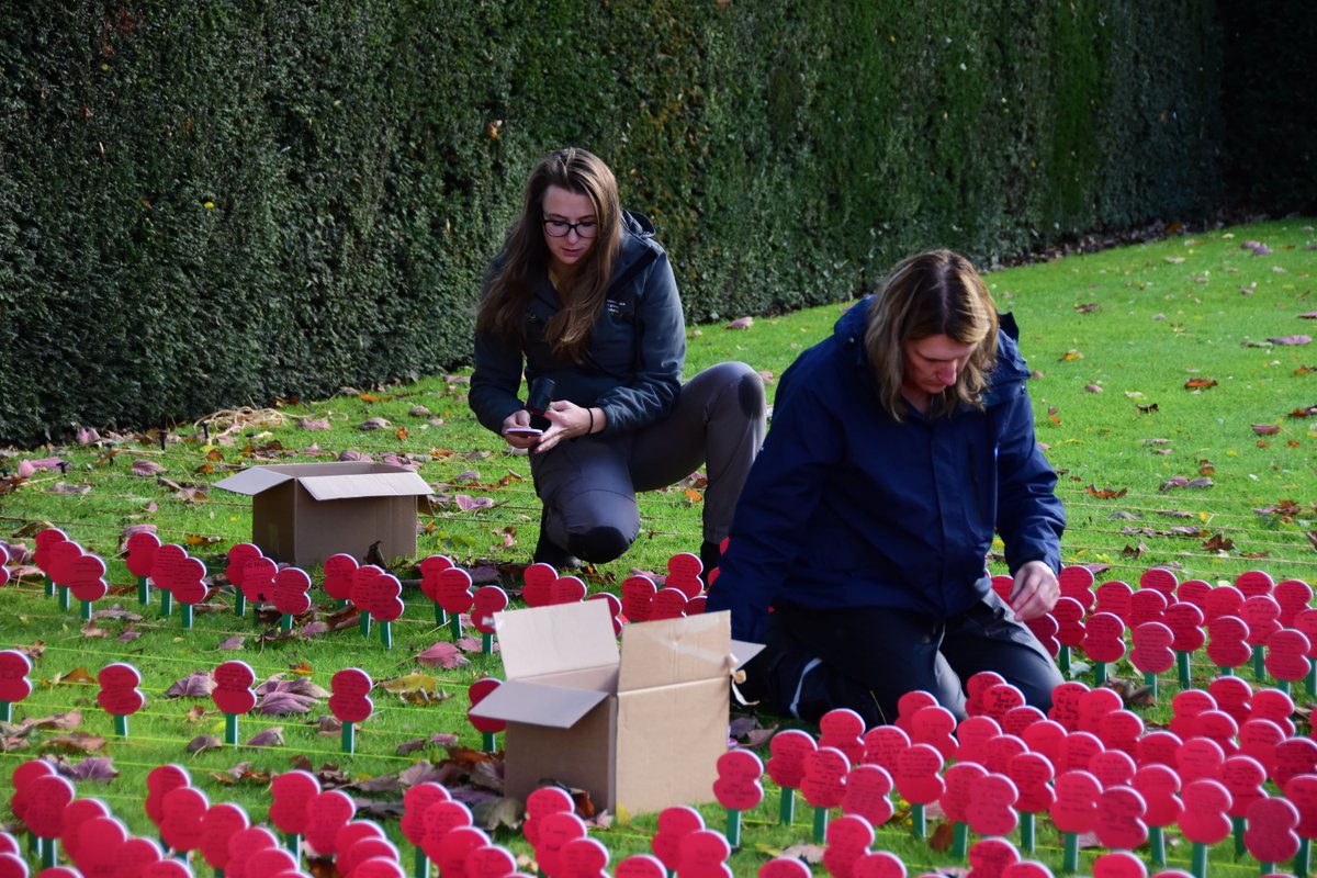 Commonwealth War Graves (@cwgc) on Twitter photo Over 14,000 <a href="/PoppyLegion/">Royal British Legion</a> poppies have been placed beside the <a href="/CWGC/">Commonwealth War Graves</a>’s Ypres (Menin Gate) Memorial this week to form a Flanders Field for #ArmisticeDay. Learn more about the memorial, here: ow.ly/Ogay50x5Dp0 #CWGCremembers #OurWorkContinues #RemembranceDay #CWGFinterns Over 14,000 <a href="/PoppyLegion/">Royal British Legion</a> poppies have been placed beside the <a href="/CWGC/">Commonwealth War Graves</a>’s Ypres (Menin Gate) Memorial this week to form a Flanders Field for #ArmisticeDay. Learn more about the memorial, here: ow.ly/Ogay50x5Dp0 #CWGCremembers #OurWorkContinues #RemembranceDay #CWGFinterns