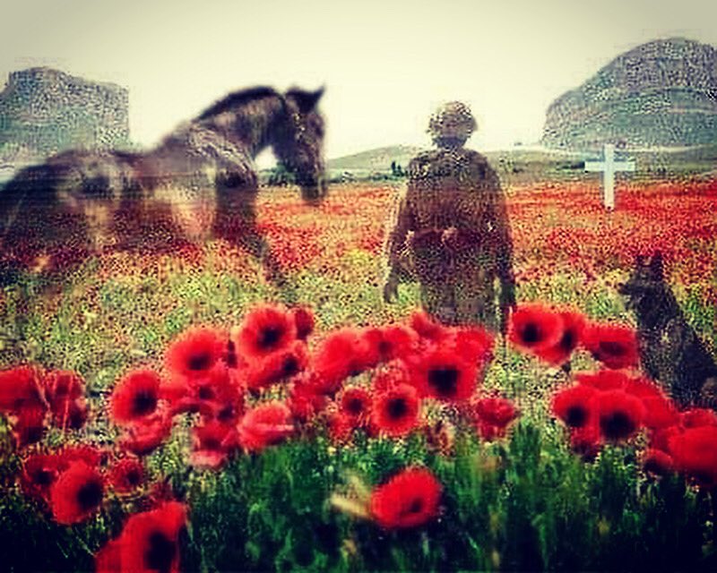 “To live in hearts we leave behind is not to die.”
-
#remember #fallen #rememberencesunday #military #worldwar #poppies #flandersfields