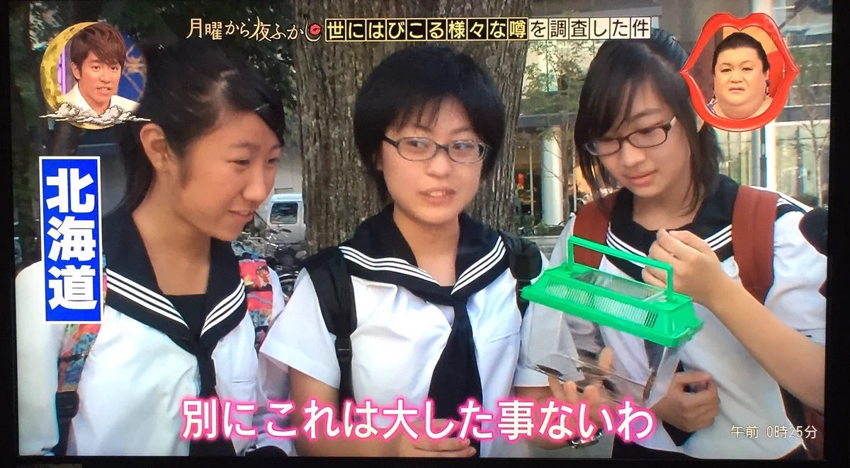 ゴキブリは気持ち悪い＝殺虫剤のCMによる洗脳だった？