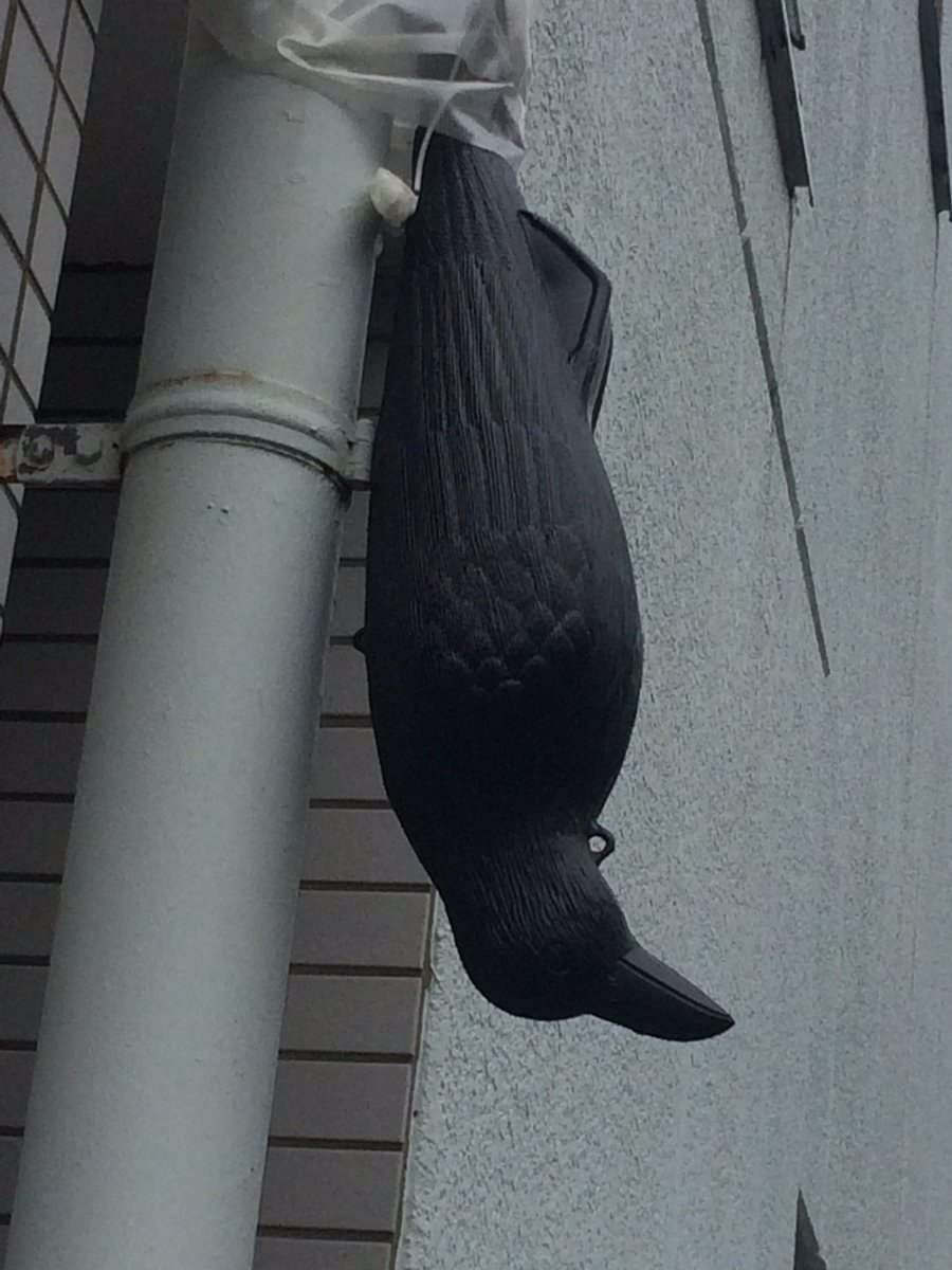 鳩よけ 鳩よけ