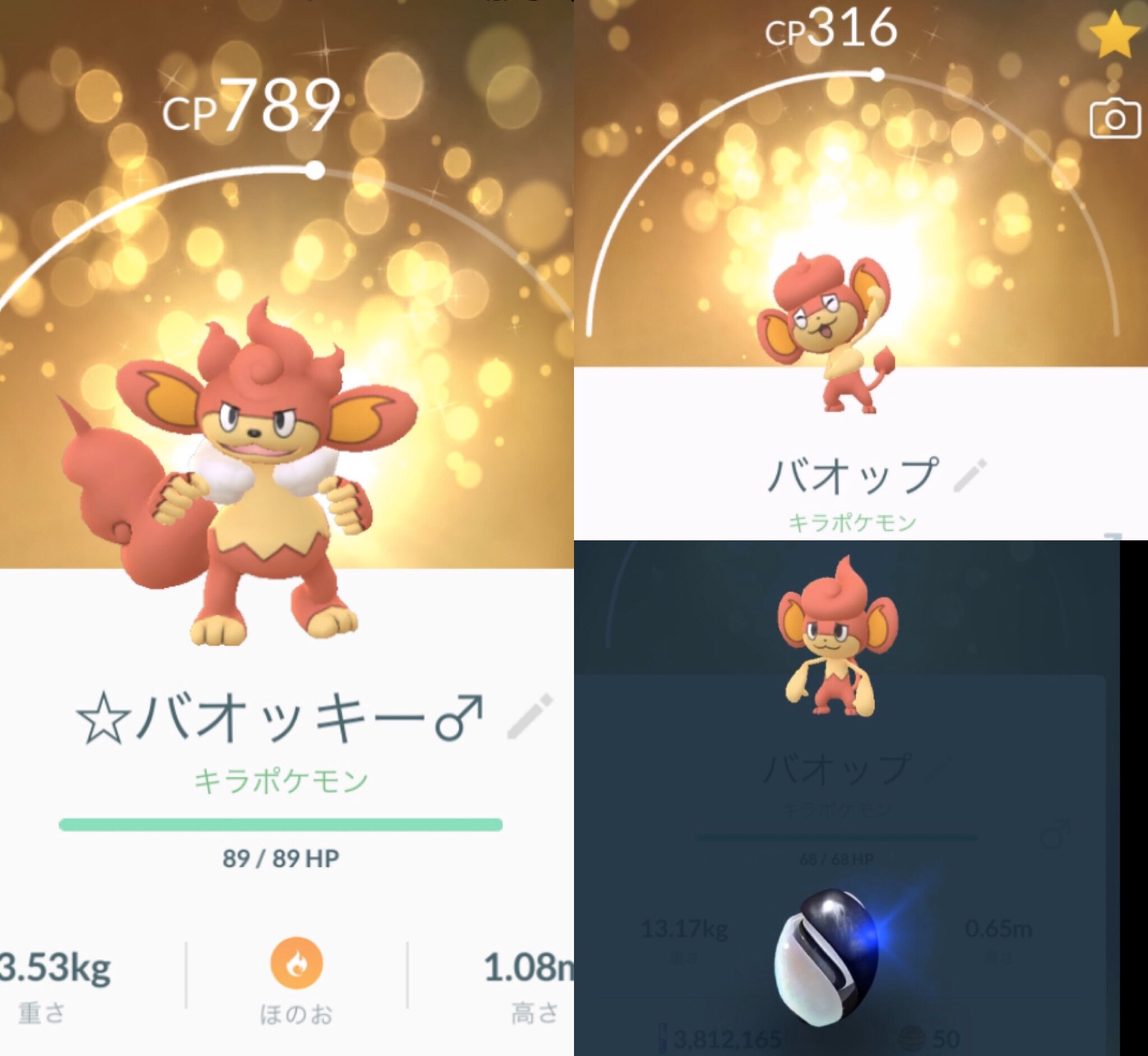تويتر ひかぴか على تويتر バオップがキラに 進化させました トレードありがとうございました ポケモンgo Pokemongo キラポケモン Luckypokemon バオップ バオッキー T Co I21otzlbf8