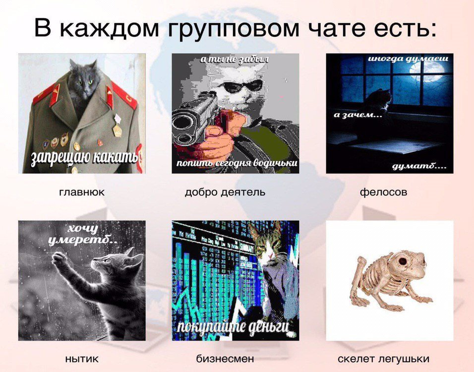 EIa3xEkXUAQdf8d?format=jpg&name=medium