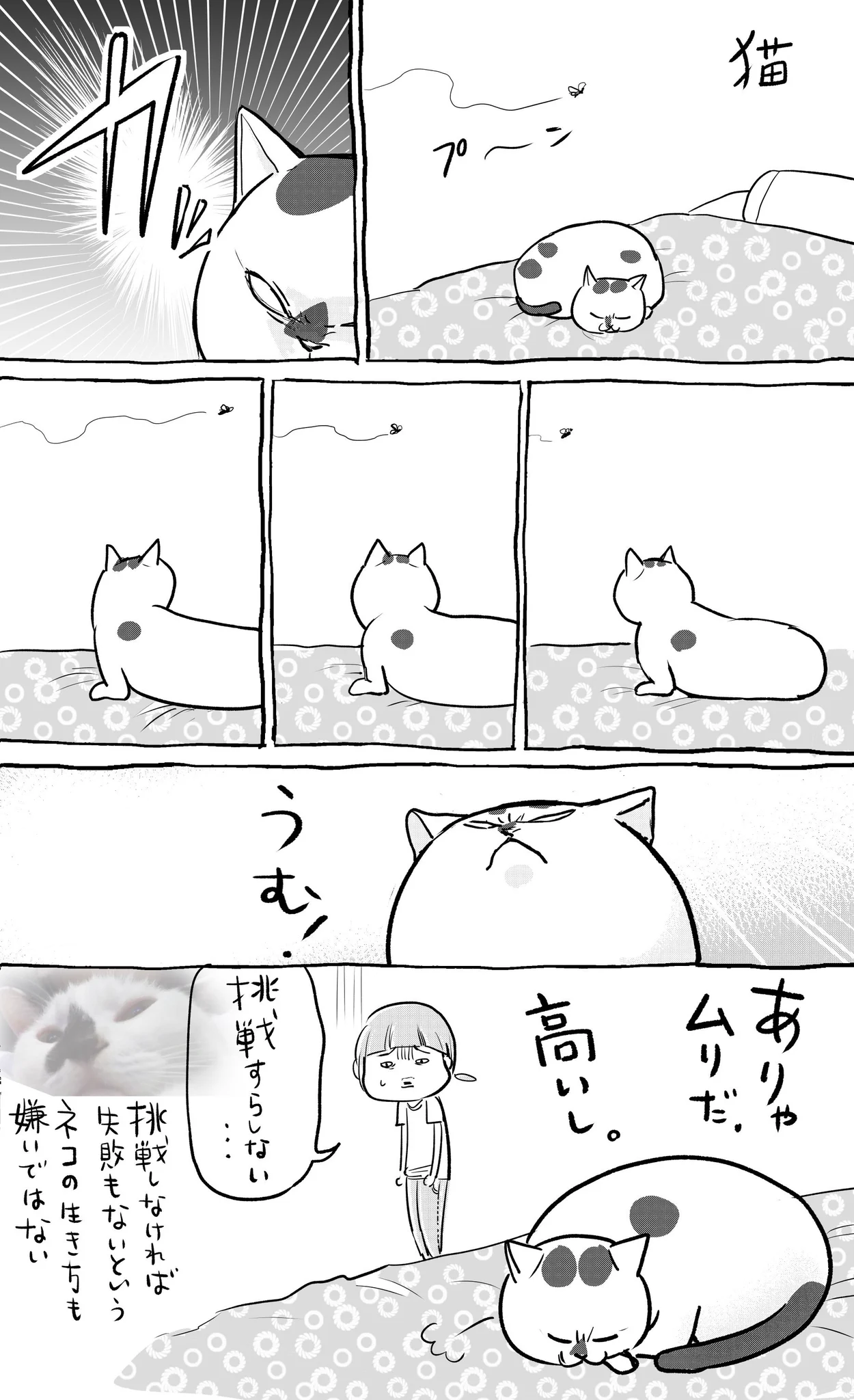 犬猫漫画。犬と猫どっちも飼ってると、失敗に人生を学べるので毎日たのしい。