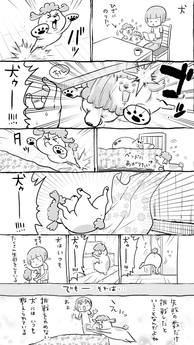 犬猫漫画。犬と猫どっちも飼ってると、失敗に人生を学べるので毎日たのしい。