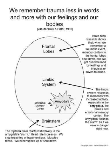 Think about when you demand a child to respond and the blank look on their face. Their frontal lobe just shut off and the response now depends on emotional responses that have been experienced previously.
