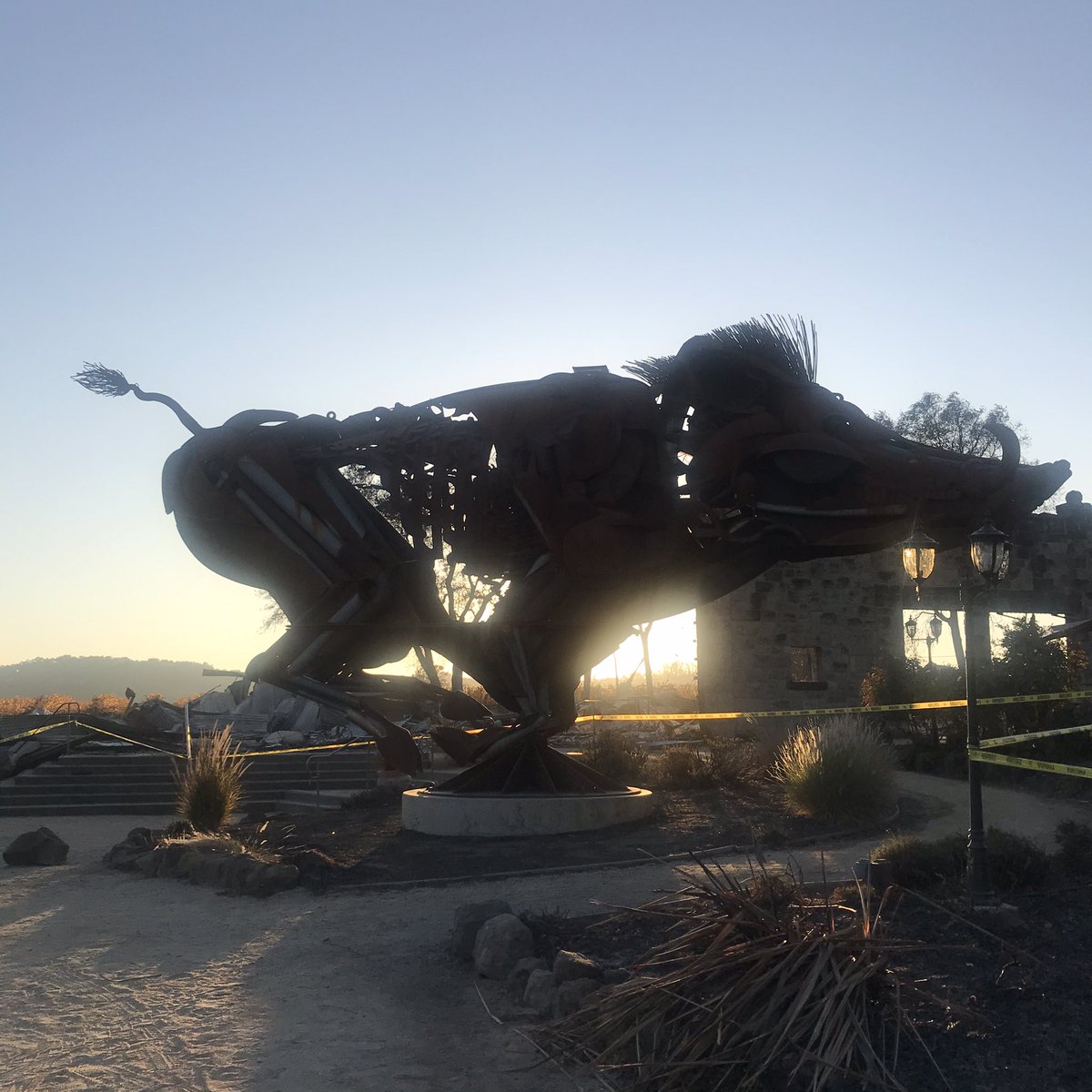 Mirjam de Rijk tweet media