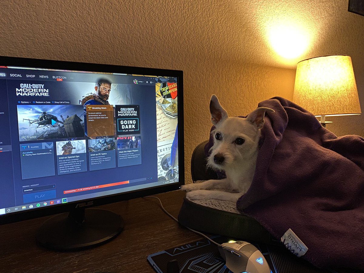 Scrimp08's tweet image. Took a page out of @Jenna_Marbles playbook. Emma wanted to be a part of the crew. #gamerdog #humanladder