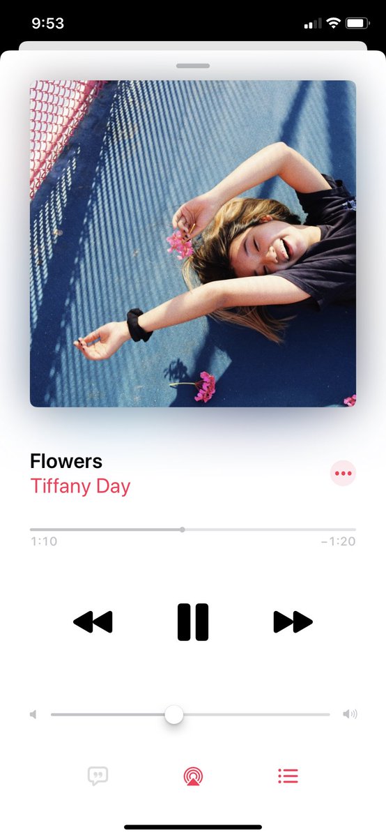 🌺