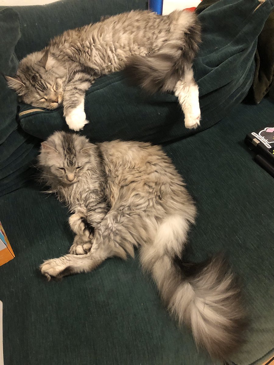 bigfloofs's tweet photo. Oot just kept sinking https://t.co/Ul9INOkoTm