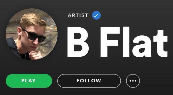 So I got a google home from that spotify giveaway.

and I'm throwing random questions at it.

and I ask it to play me a B flat.

and it misunderstands this, finding me an artist on spotify named B Flat.

and I click on the artist page.

AND HE'S MY SECRET IDENTICAL TWIN