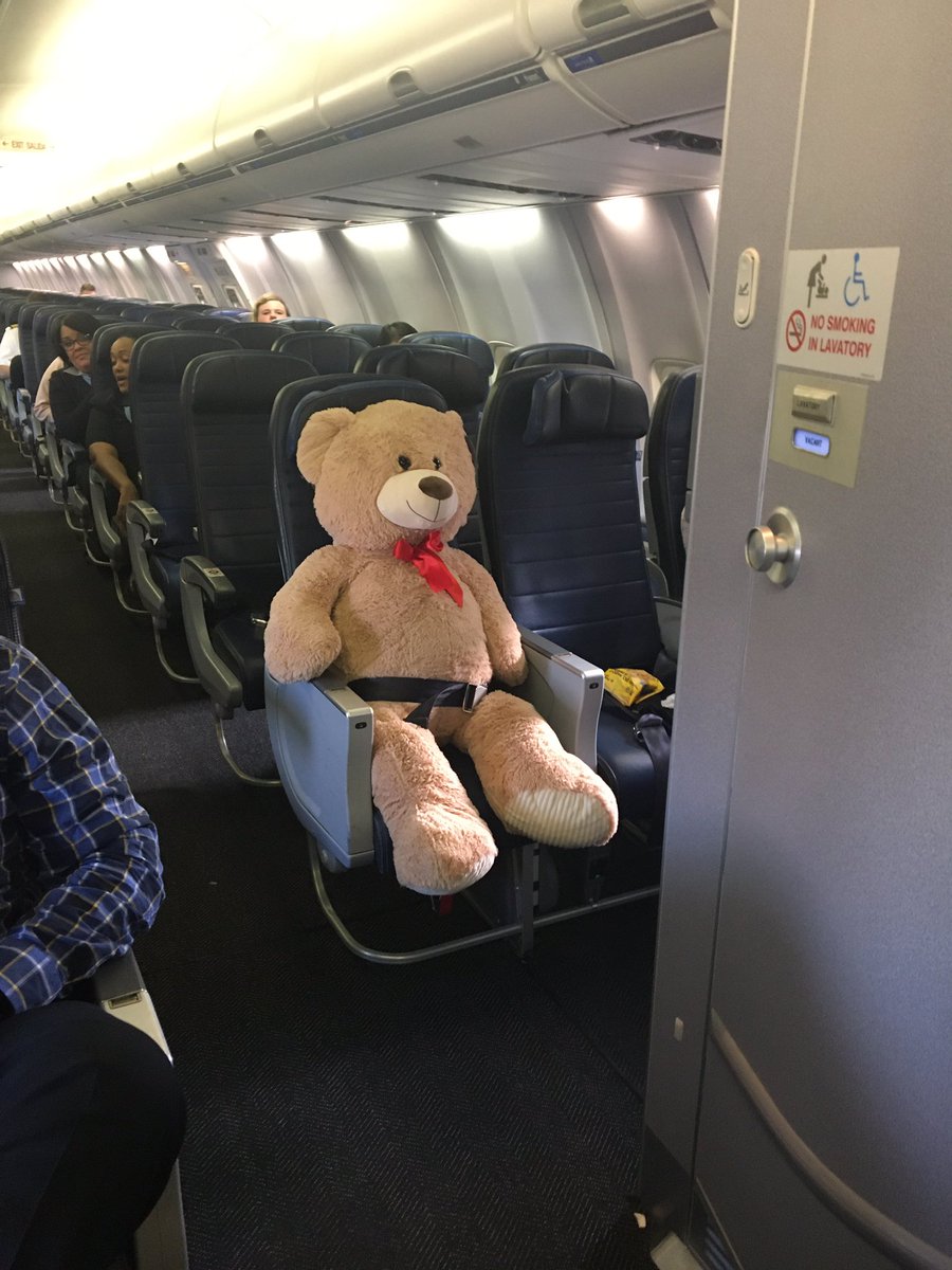 Legendarydoll2's tweet photo. Thanks @united he had a great seat today #unitedairlines #best #friendlysky https://t.co/uwXaQf7xVp