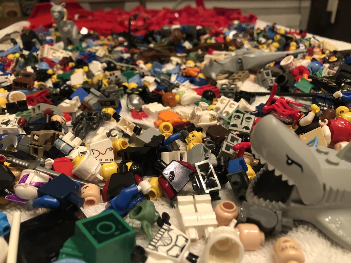 jennymock's tweet photo. Spent my “extra” hour of autumn washing donated LEGOs for a new makerspace in the library. Thankful for generous community members. #FTDisThankful @FerdinandTDayES https://t.co/xVPkRHx27a