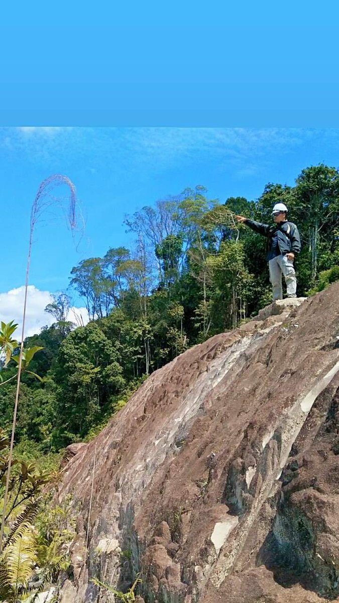 Marsius18's tweet image. 