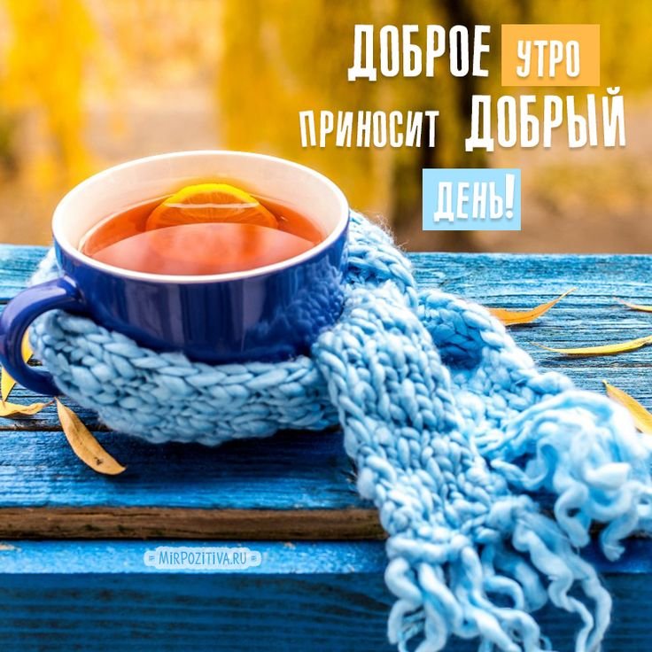 liudmila tweet media