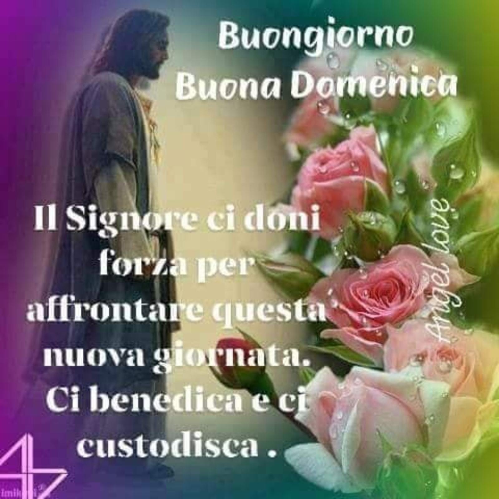 Twitter पर Carmela Licitra Buongiorno Amici Carissimi Buona Domenica Apriamo Le Porte Di Casa Perche Gesu Vuole Entrare In Casa Ns Oggi Vi Abbraccio Con Affetto T Co Fba4jjxidu