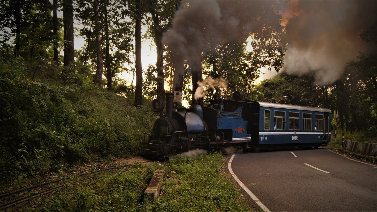 #enchantinghimalayas
#chasingdhr
#livingheritage
#darjeelinghimalayanrailways
#siligurijunction
#suknastation
#rongtongstation
#cometravelwithus
#incrediabledarjeeling
#transhimalayantours
#junglesafari
#hillcartroad
#worldheritage