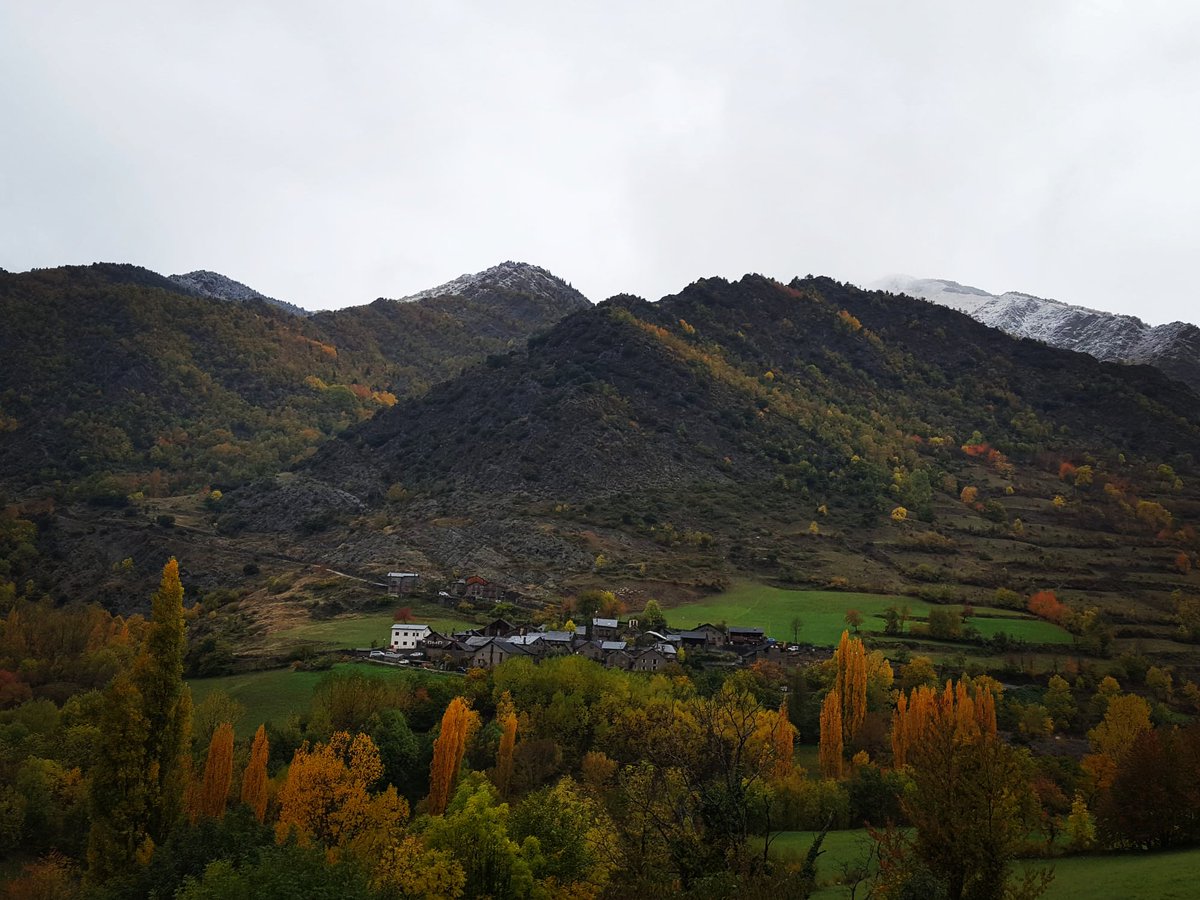 Bonestarre's tweet photo. Els colors de la tardor en el Vallat (Vall Cardós): vermell dels cireres, groc dels bedolls, tonalitats de verd per tot arreu que la pluja alimenta i el blanc en els cims de les primeres nevades. #324eltemps #Bonestarre #vallat #Anas #Estaon #Surri https://t.co/nX93uDYpKI