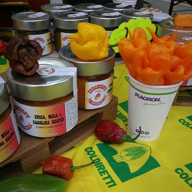 FarmHabanero's tweet photo. Siamo operativi alla fiera dei santi a Monselice (PD) @coldiretti @coldirettigiovani @plagron_official @plagron_italia  @habanerosfarm https://t.co/0svKjl2Rxx #capsaicinapadovana@www.habanerosfarm.it #habanerosfarm #capsaicina #pepperlovers #pepper #hab… https://t.co/8kYy6fm5J0 https://t.co/h8hEZ7jfBP