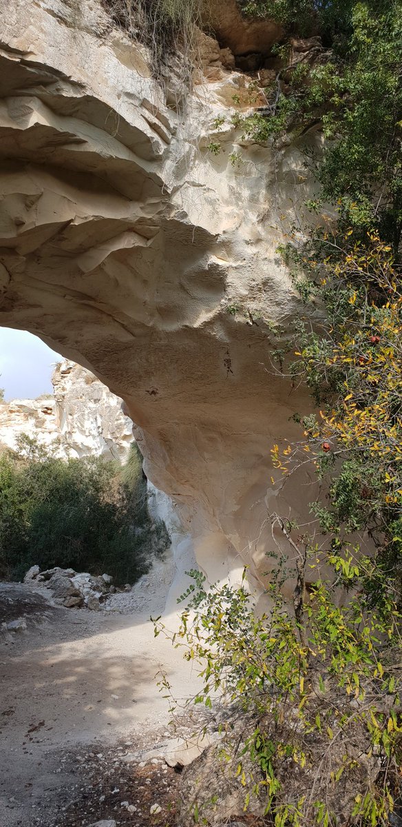 mlottner's tweet image. They build a cute wooden walkway roof to protect visitors under this arch (which is limestone, so may crumble). Either the pergola is only for show, or the builders never even played rock, paper, scissors as children...#engineeringfail