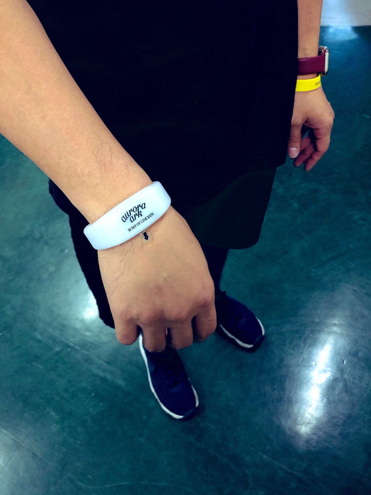 新品　銀テつき　BUMP OF CHICKEN リストバンド　バンプ BUMP OF CHICKEN - BUMP OF CHICKEN グッズ セット