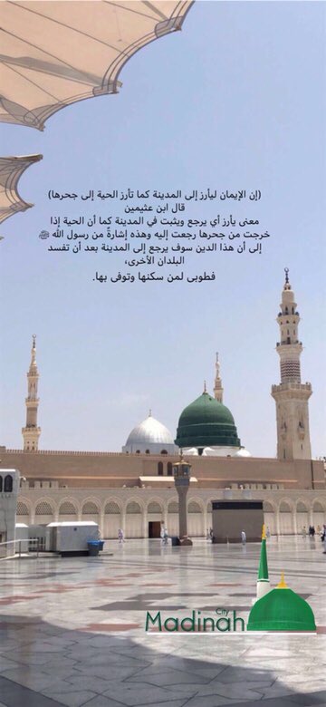 أ بيلسآن On Twitter إن الإيمان ليأرز إلى المدينة كما تأرز الحية إلى جحرها ابن عثيمين معنى يأرز أي يرجع ويثبت في المدينة كما أن الحية إذا خرجت من جحرها رجعت إليه