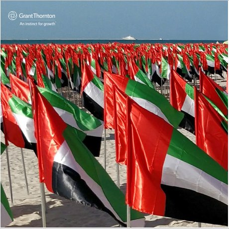 'Raise it high Raise it proud' #GTUAE wishes everyone Happy UAE Flag Day #UAEflagday #UAE @HHShkMohd