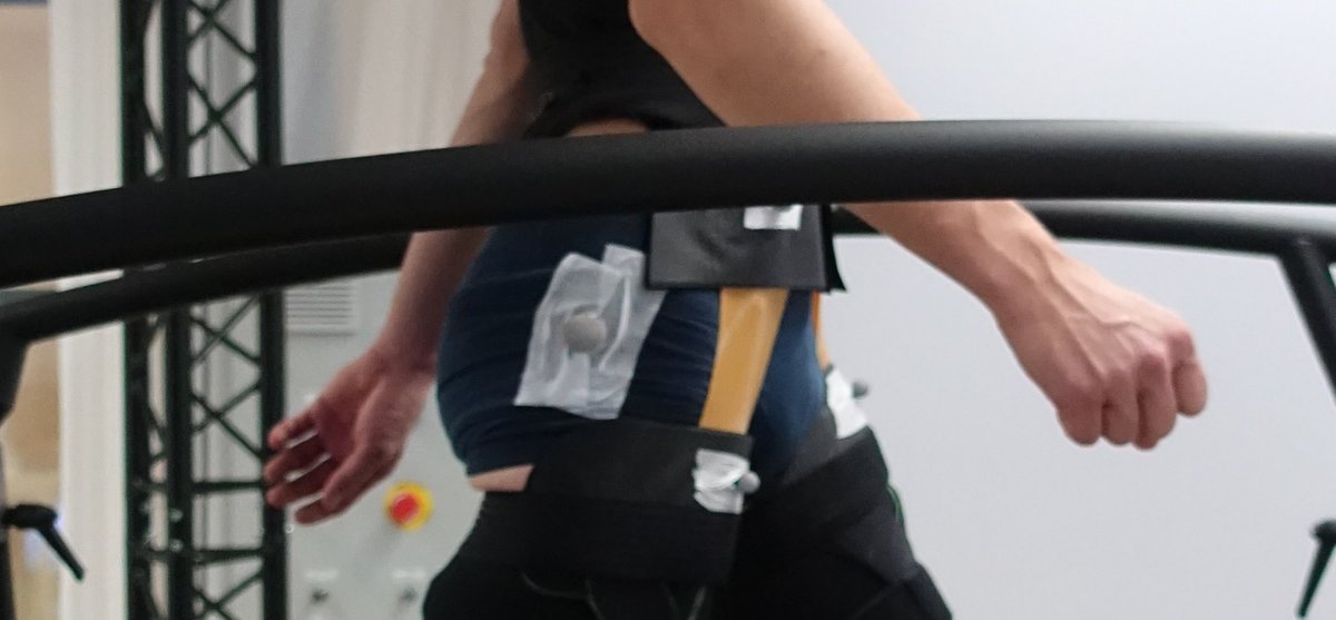 GrimmerMartin's tweet photo. Nice work by Florian that shows how the ankle has to compensate for springs at the hip. #exoskeletons #biomechanics #HealthTech #Wearables https://t.co/RNFrv1u8LL